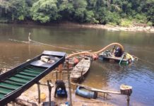 Efforts to conserve Gola Forest may go down the drain if…