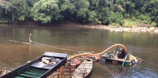 Efforts to conserve Gola Forest may go down the drain if…