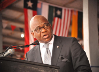 Diaspora Lofains accuse Weah government of denying political seat at the Liberian senate