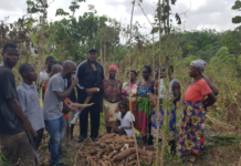 Liberia: Bill Rogers Youth Foundation Expands Agriculture Activity In Margibi