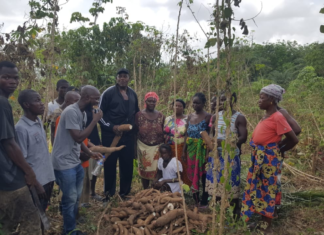 Liberia: Bill Rogers Youth Foundation Expands Agriculture Activity In Margibi