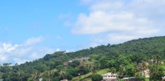 Critical Ecosystem Partnership Fund supports SCNL to improve freshwater KBAs in Liberia