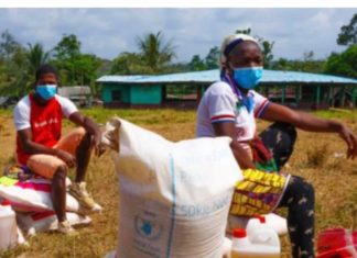 Liberia: Senate trashes 2.3 million COVID-19 stimulus package beneficiaries report