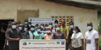 LESA to construct Liberia’s First seedbank to benefit several local farmers