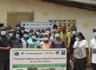 LESA to construct Liberia’s First seedbank to benefit several local farmers