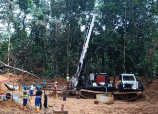 PASOFINO GOLD announces results of its first four gold holes at Tuzon in Hummingbird concession area