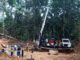 PASOFINO GOLD announces results of its first four gold holes at Tuzon in Hummingbird concession area