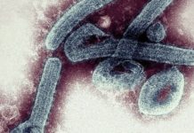 Ghana declares Marburg virus outbreak