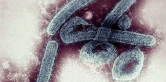 Ghana declares Marburg virus outbreak