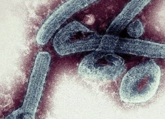 Ghana declares Marburg virus outbreak