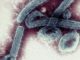 Ghana declares Marburg virus outbreak