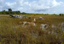 Ivorian government loses five military personnel in fatal plane crash