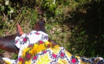 More ritualistic killings: Woman, 21,found Body Parts Extracted in Gbarnga Ritualistic killings