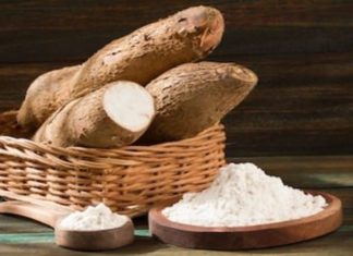 New EU funded project to transform Cassava launched in Liberia