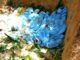 Lightning Strike kills five children in Nimba