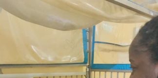 2-year-old girl begins Charity foundation