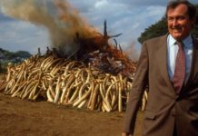 Kenyan conservationist Richard Leakey dies aged 77 Richard Leakey