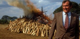 Kenyan conservationist Richard Leakey dies aged 77 Richard Leakey