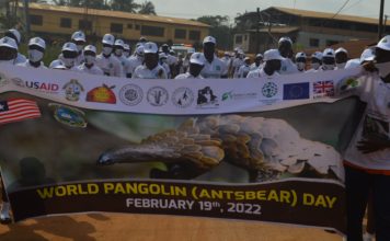 Liberia Celebrates ‘Colorful’ World Pangolin Day