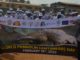 Liberia Celebrates ‘Colorful’ World Pangolin Day