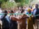 Liberia’s Forestry Training Institute gets modern research center