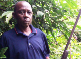 Man Admits to killing journalist for Stealing His Goat in central Liberia