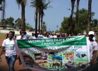 Liberia’s celebrates World wildlife Day with a caveat…