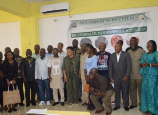Liberia oil palm sector gets major boast, Government and CSOs launch 5-year strategy