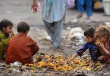 UN warns of global food crisis as Ukraine- Russia war continues