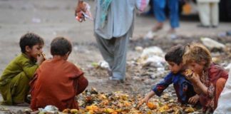 UN warns of global food crisis as Ukraine- Russia war continues