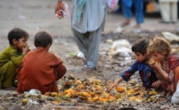 UN warns of global food crisis as Ukraine- Russia war continues