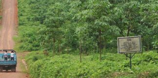 MARCO Rubber Plantation Calls for calm amid  eviction order for  Morris’ Farm Community