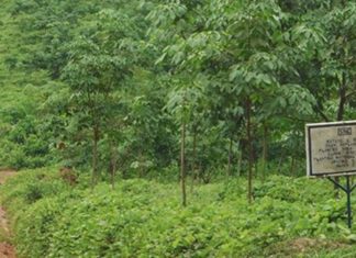 MARCO Rubber Plantation Calls for calm amid eviction order for Morris’ Farm Community