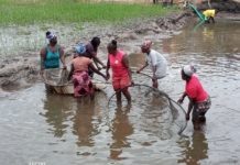FAO, Partner conclude one day project sites visit to Gbarpolu