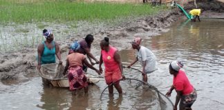 FAO, Partner conclude one day project sites visit to Gbarpolu