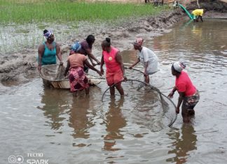 FAO, Partner conclude one day project sites visit to Gbarpolu
