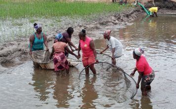 FAO, Partner conclude one day project sites visit to Gbarpolu