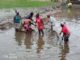 FAO, Partner conclude one day project sites visit to Gbarpolu