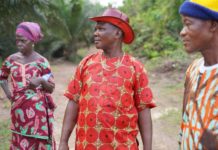 Monoculture Plantations: How Indonesian and Liberian community leaders have developed a tool to help companies track the impacts of their plantations across supply chains