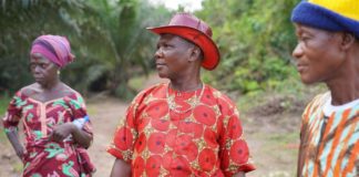 Monoculture Plantations: How Indonesian and Liberian community leaders have developed a tool to help companies track the impacts of their plantations across supply chains