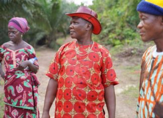 Monoculture Plantations: How Indonesian and Liberian community leaders have developed a tool to help companies track the impacts of their plantations across supply chains