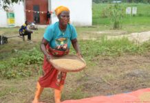 UNDP Deputy Rep calls for increase in agricultural productivity to improve livelihoods of small holder farmers Woman prepares rice in rural Liberia