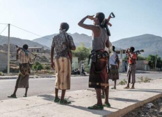 World Health Organization calls for ‘urgent’ Tigray access to save lives Tigray crisis