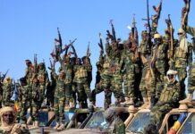 Boko Haram militants kill 10 Chadian soldiers near Nigeria border Boko Haram