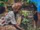 Sierra Leone passes ‘Landmark’ Act on Women’s Rights Sierra Leone Women's Right