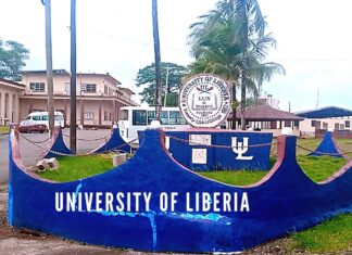 Education Minister reverses Higher Commission Policy Compelling Presidents And Vice Presidents Tertiary Institutions to hold Doctorate Degrees Higher education