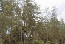 EPA, Yale University to begin development species observation  system for biodiversity in Liberia