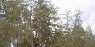 EPA, Yale University to begin development species observation  system for biodiversity in Liberia