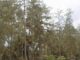 EPA, Yale University to begin development species observation system for biodiversity in Liberia