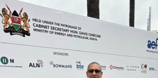 Monie Captan Stress: Capacity Building is Cardinal for Africa’s Energy Industry Monie Captan